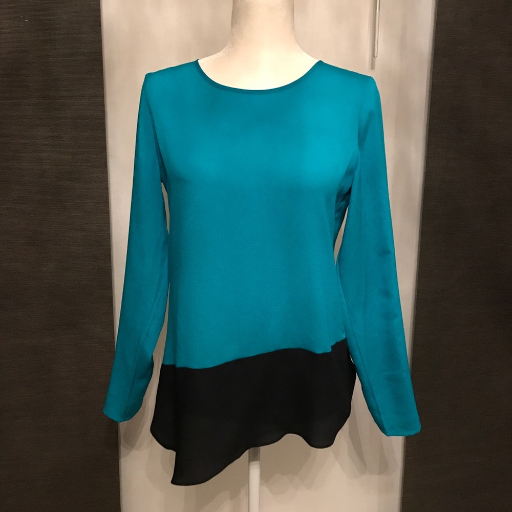 The Limited Blouse